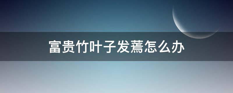 富贵竹叶子发蔫怎么办 富贵竹叶蔫了用什么办法补救