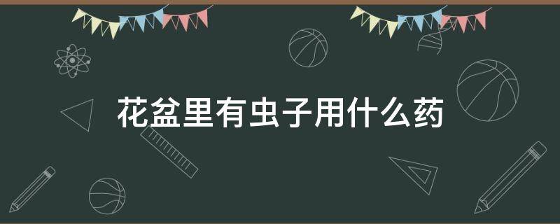 花盆里有虫子用什么药 花盆里有虫子用什么药杀死