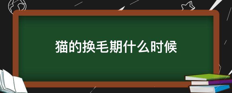 猫的换毛期什么时候（猫的换毛期在什么时候）