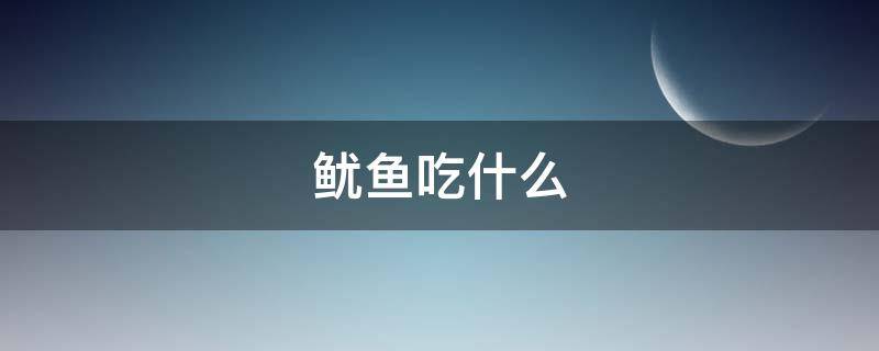 鱿鱼吃什么（我的世界发光鱿鱼吃什么）