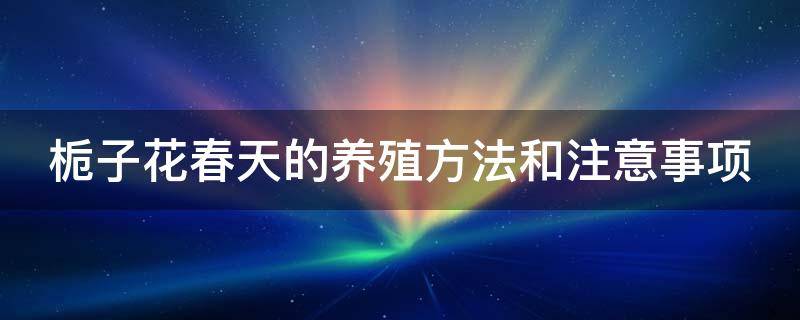 栀子花春天的养殖方法和注意事项 栀子花春天的养殖方法和注意事项有哪些