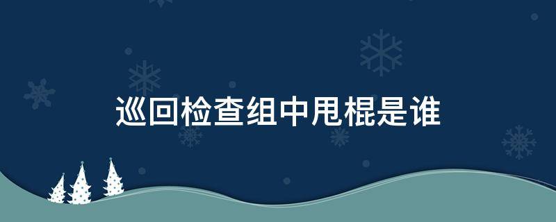 巡回检查组中甩棍是谁 巡回检查组里到底谁是甩棍