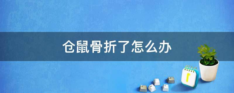 仓鼠骨折了怎么办（仓鼠骨折了怎么办?）