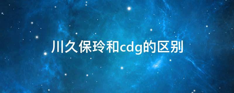 川久保玲和cdg的区别 川久保玲是CdG还是CDG