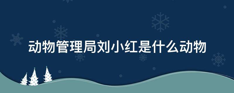 动物管理局刘小红是什么动物 动物管理局 小红