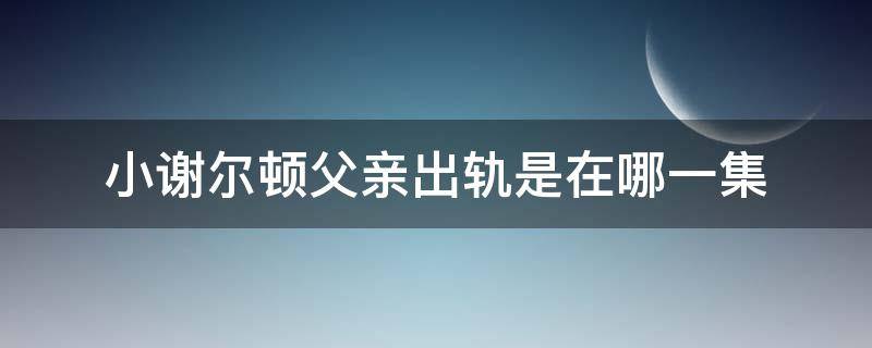 小谢尔顿父亲出轨是在哪一集（小谢尔顿离家出走是第几集）