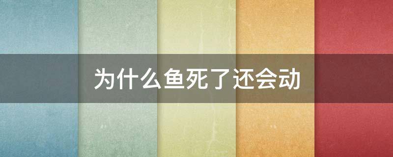 为什么鱼死了还会动（为什么鱼死了还会动?）