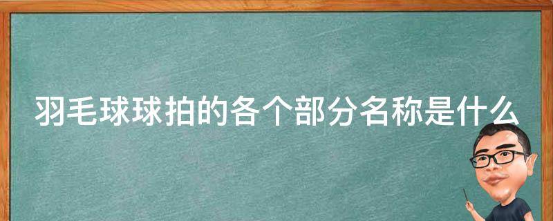 羽毛球球拍的各个部分名称是什么（羽毛球球拍的各个部分名称是什么图片）