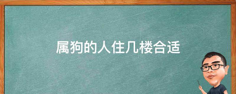 属狗的人住几楼合适（属狗的人住几楼最吉利）