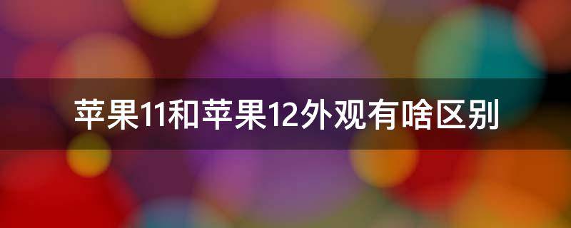 苹果11和苹果12外观有啥区别（苹果11和苹果12外观有什么区别?）