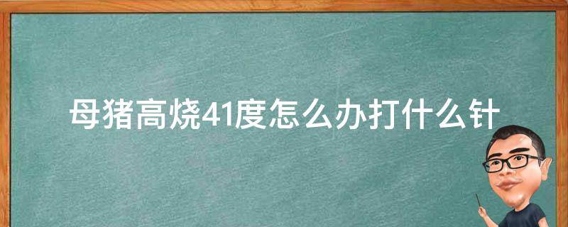 母猪高烧41度怎么办打什么针（猪高烧41度打什么针好）