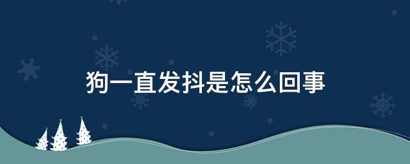 狗一直发抖是怎么回事（狗一直发抖怎么回事?）