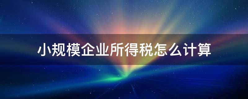 小规模企业所得税怎么计算 小规模企业所得税怎么计算 案例