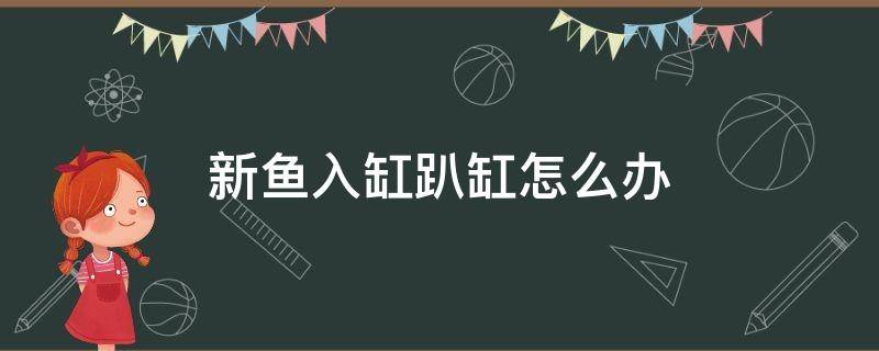 新鱼入缸趴缸怎么办 新鱼入缸老鱼趴缸了怎么办