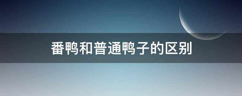 番鸭和普通鸭子的区别（番鸭和肉鸭的区别）