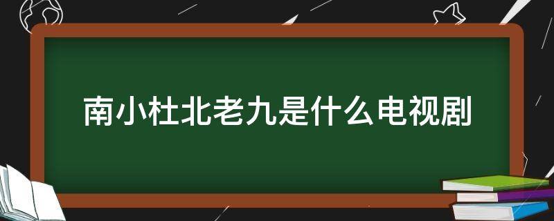 南小杜北老九是什么电视剧（北老九南小杜十三太保无敌手电视剧）