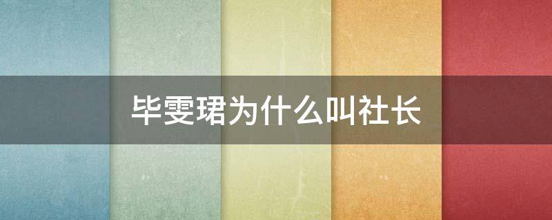 毕雯珺为什么叫社长 毕雯珺社长是什么意思