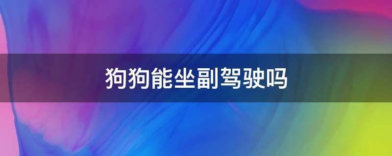 狗狗能坐副驾驶吗（狗狗不能坐副驾驶吗）