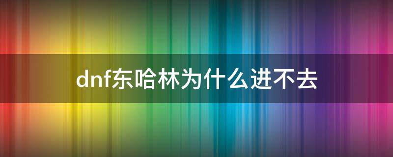 dnf东哈林为什么进不去（地下城东哈林怎么进）