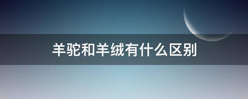 羊驼和羊绒有什么区别 羊驼绒和羊毛绒的区别