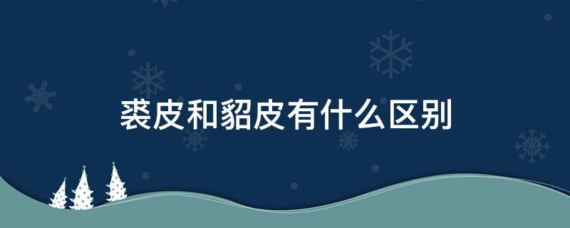 裘皮和貂皮有什么区别 水貂皮和裘皮有区别吗