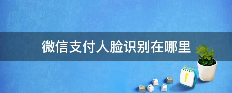 微信支付人脸识别在哪里 微信支付人脸识别在哪里开启