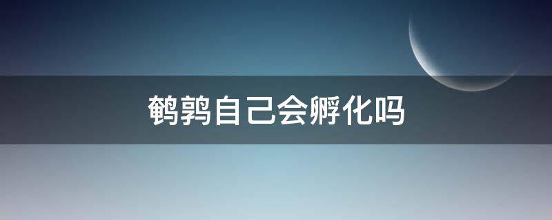 鹌鹑自己会孵化吗 为什么鹌鹑不会自己孵出来