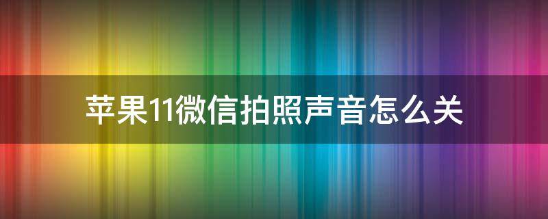 苹果11微信拍照声音怎么关（iphone12微信拍照声音怎么关）