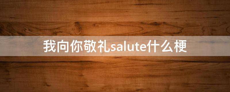 我向你敬礼salute什么梗（我向你敬礼salute 你懂我意思吗哥?）