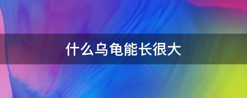 什么乌龟能长很大 什么乌龟能长很大又好养