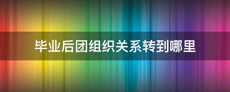 毕业后团组织关系转到哪里 毕业后团组织关系转到哪里比较好