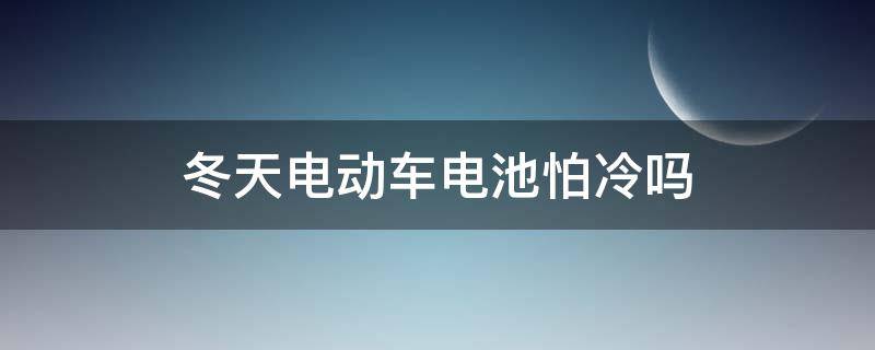 冬天电动车电池怕冷吗（电动车什么电池不怕冷）