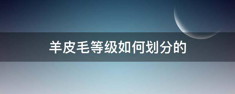 羊皮毛等级如何划分的（羊皮等级的区分）