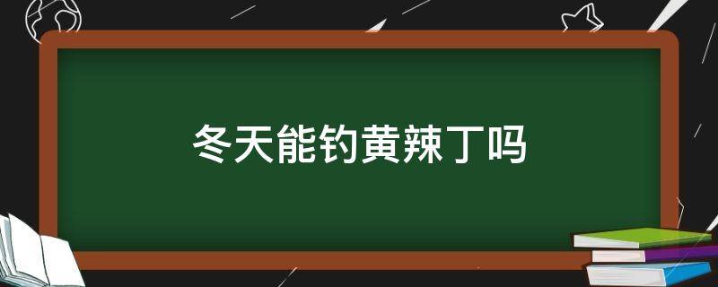 冬天能钓黄辣丁吗 冬天能钓到黄辣丁吗?