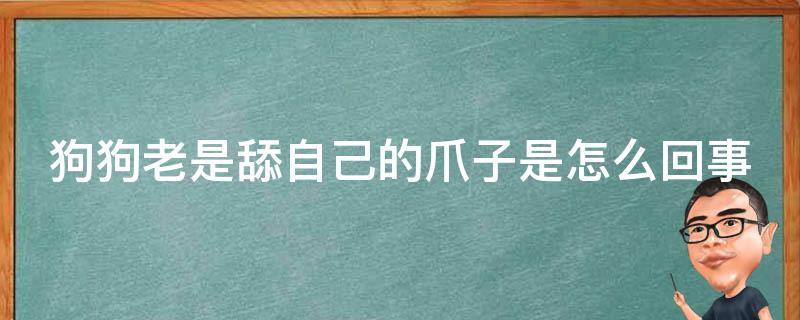 狗狗老是舔自己的爪子是怎么回事 狗狗一直舔自己的爪子怎么回事