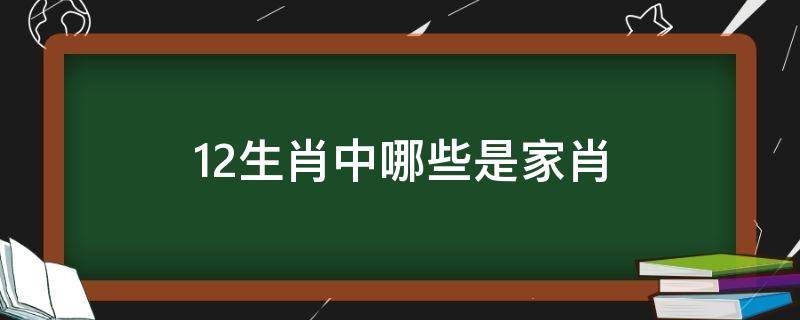 12生肖中哪些是家肖 十二生肖里面的家肖是哪几个