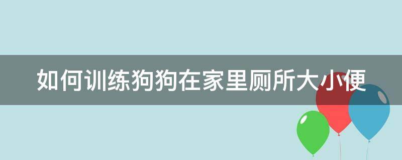 如何训练狗狗在家里厕所大小便（怎么训练狗在家里拉尿）