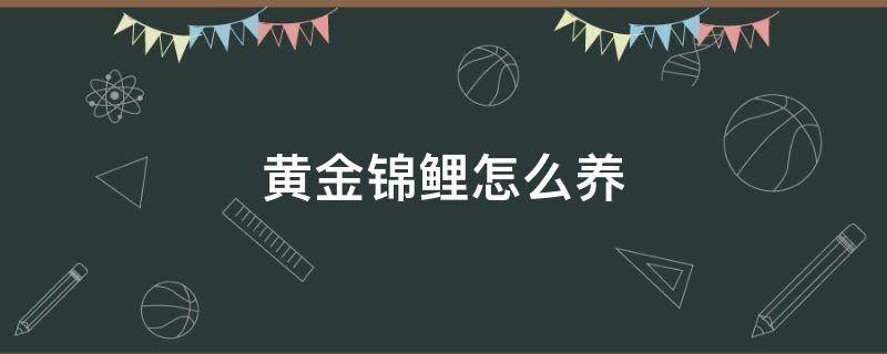 黄金锦鲤怎么养 黄金锦鲤怎么养颜色好