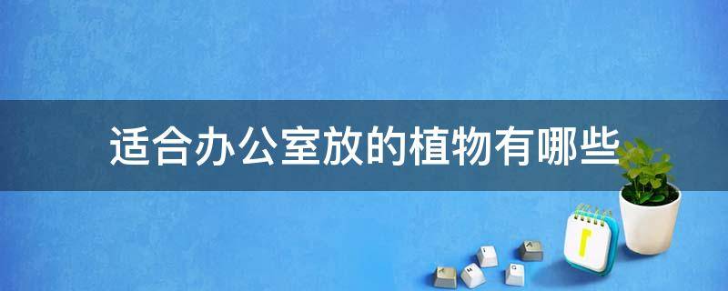 适合办公室放的植物有哪些 办公室适合放什么样的植物