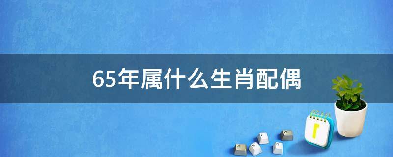 65年属什么生肖配偶 62年属什么生肖配偶