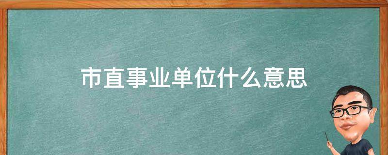 市直事业单位什么意思 市本级事业单位是什么意思