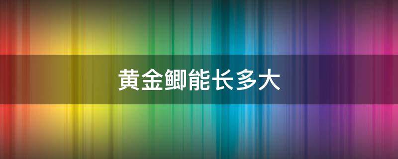 黄金鲫能长多大 黄金鲫鱼一年能长多少斤