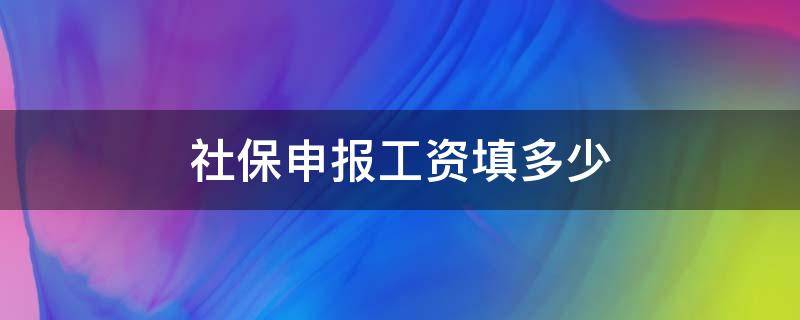 社保申报工资填多少 申报社保缴费工资填多少