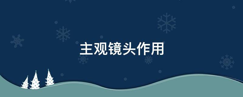 主观镜头作用 主观镜头的运用