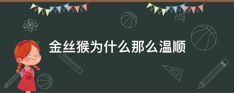 金丝猴为什么那么温顺（金丝猴为什么这么温顺）