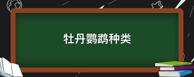 牡丹鹦鹉种类 费氏牡丹鹦鹉种类