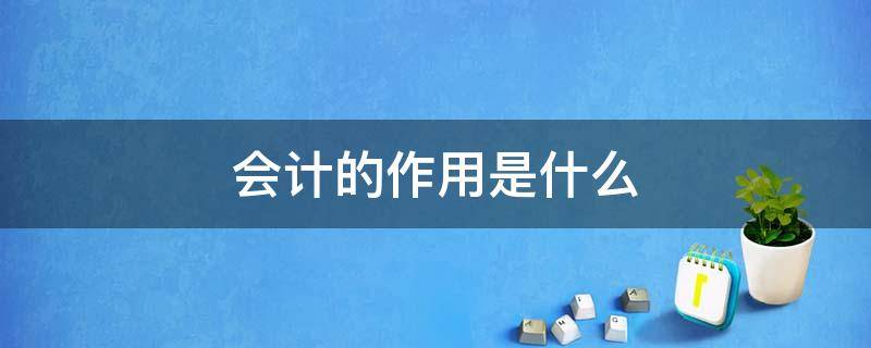 会计的作用是什么 政府会计的作用是什么