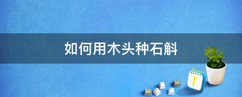 如何用木头种石斛 如何用石头种石斛