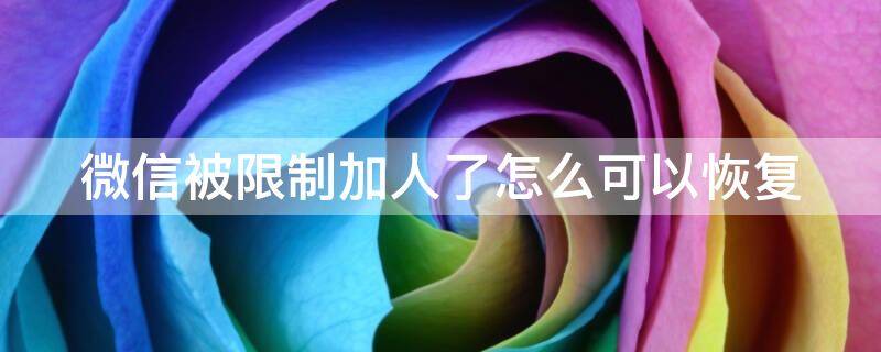 微信被限制加人了怎么可以恢复 微信被限制加人了怎么可以恢复正常