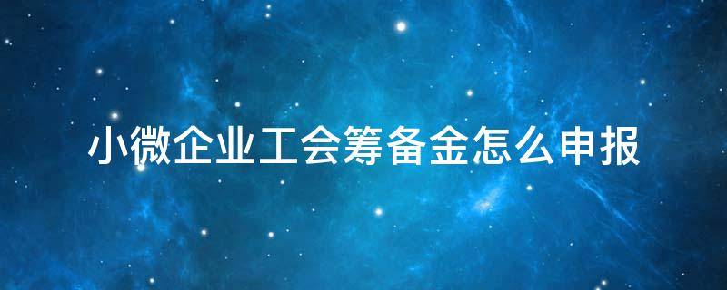 小微企业工会筹备金怎么申报（小微企业工会筹备金减免）